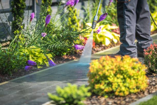 Best Winterizing Services  in La Villa, TX