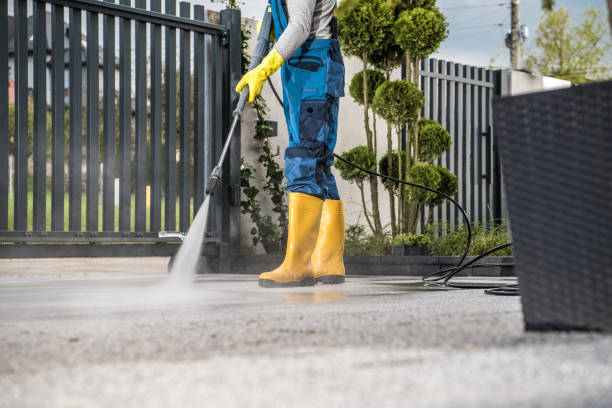 Best Driveway Pressure Washing  in La Villa, TX