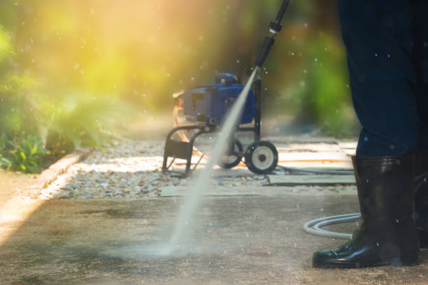 Animal Enclosure Cleaning in La Villa, TX